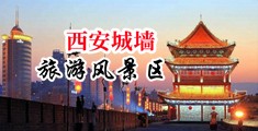 美国大骚屄中国陕西-西安城墙旅游风景区